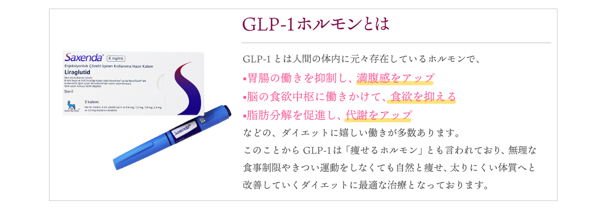 GLP-1ホルモンとは・パソコン